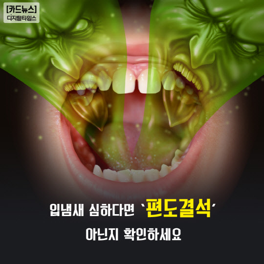 [ī崺] Գ ϴٸ `Ἦ` ƴ Ȯϼ